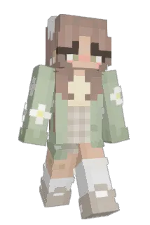 james331 Minecraft avatar full body