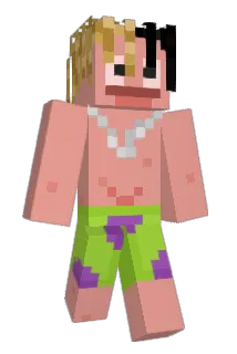 jan13090 Minecraft avatar full body