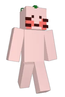 jang1007 Minecraft avatar full body