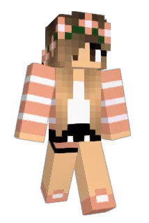 jani8800 Minecraft avatar full body