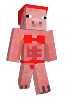 jaokaenoi Minecraft avatar full body