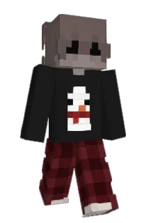 japko213 Minecraft avatar full body