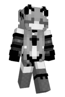 jarane08 Minecraft avatar full body