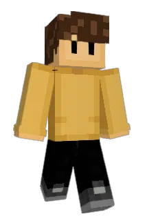 jayden21 Minecraft avatar full body