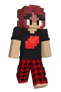 jayphyn Minecraft avatar full body