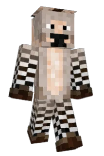 jb5111 Minecraft avatar full body