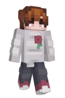 jb5r Minecraft avatar full body