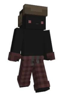 jel1oo Minecraft avatar full body