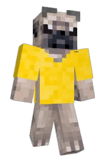 jenrperry Minecraft avatar full body