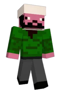 jensmensflens Minecraft avatar full body