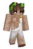 jerenasi Minecraft avatar full body