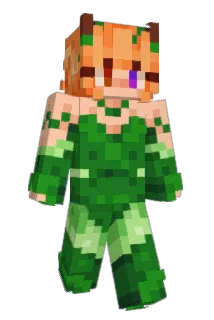 jestedd Minecraft avatar full body