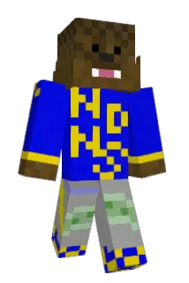 jetsfan2002 Minecraft avatar full body