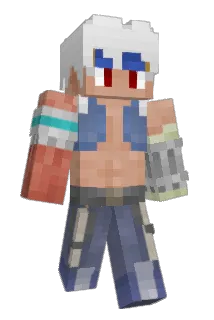 jfhdkx Minecraft avatar full body