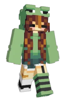 jhiggssee Minecraft avatar full body