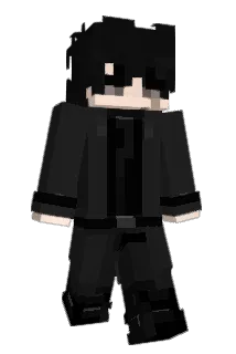 jhwasin Minecraft avatar full body