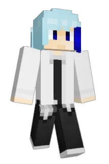 ji1130 Minecraft avatar full body