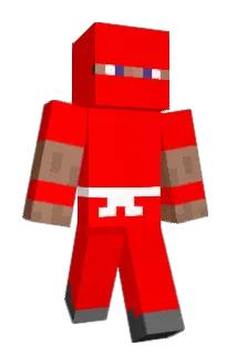 jinjaninja1 Minecraft avatar full body