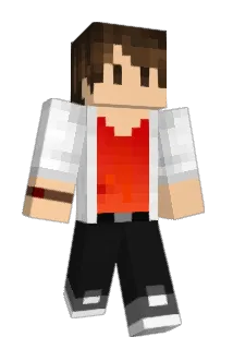 jinka16 Minecraft avatar full body