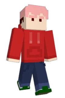 jinsanguser Minecraft avatar full body