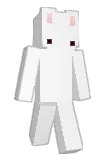 jinyeu Minecraft avatar full body