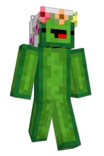 jj1012 Minecraft avatar full body