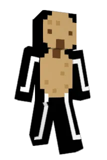 jjw001 Minecraft avatar full body