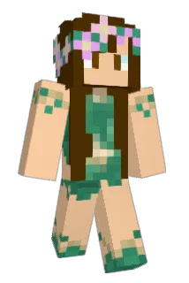 jl262 Minecraft avatar full body