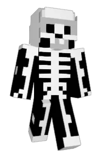 jm2628 Minecraft avatar full body