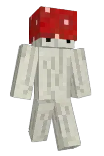joacoaudi Minecraft avatar full body