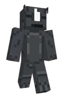 joaopedro1309 Minecraft avatar full body