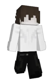 joejii Minecraft avatar full body