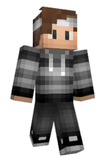 joesweeney Minecraft avatar full body