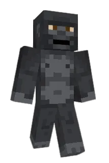 joeyriver Minecraft avatar full body