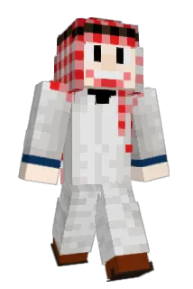 joh528 Minecraft avatar full body