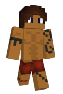 johnnybuildco Minecraft avatar full body