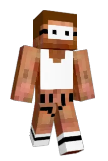 joker452 Minecraft avatar full body