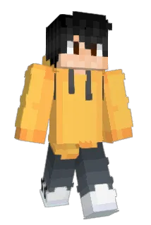 jokninja Minecraft avatar full body