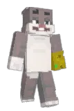 jollytnt Minecraft avatar full body