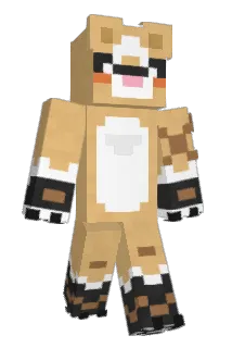 jomamma70 Minecraft avatar full body