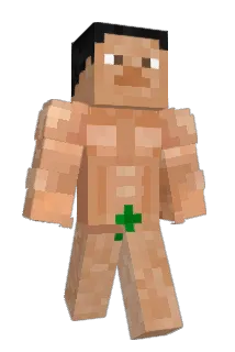 joohun6909 Minecraft avatar full body