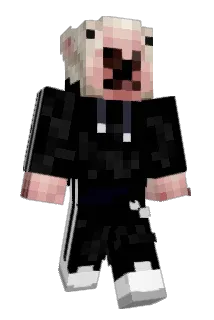 joshguy420 Minecraft avatar full body