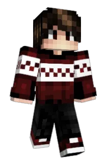 joshowenn Minecraft avatar full body