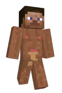 jowon1 Minecraft avatar full body