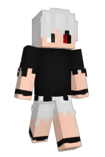 jpirate1614 Minecraft avatar full body