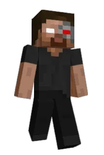 jpsn Minecraft avatar full body