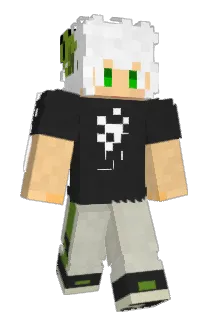 jrl123 Minecraft avatar full body
