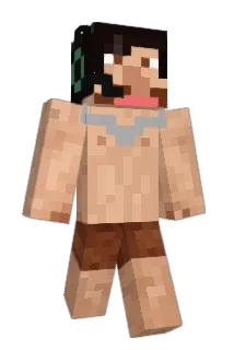 jsonkaa Minecraft avatar full body