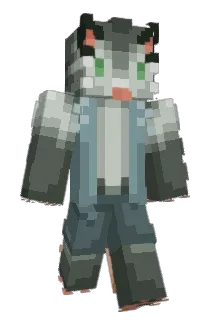 juan______ Minecraft avatar full body