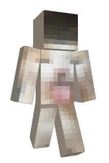 juissi673 Minecraft avatar full body